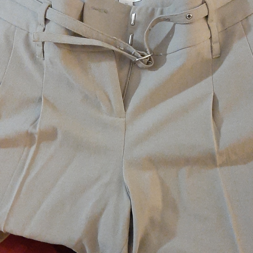 Dress pants